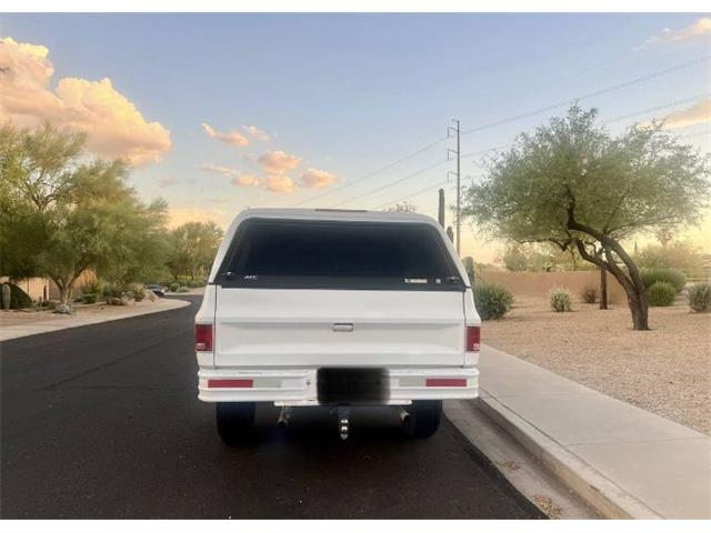 1977 Chevrolet Silverado (CC-1977277) for sale in Cadillac, Michigan