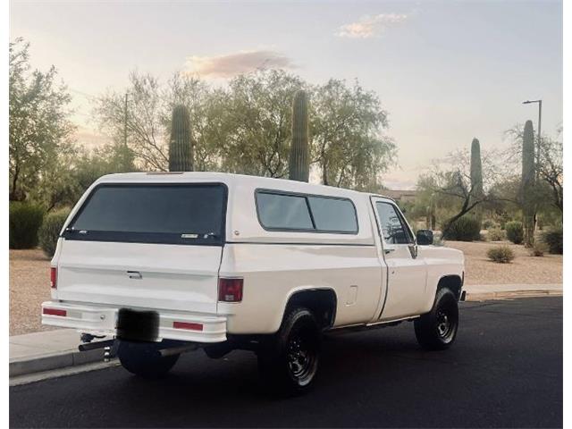 1977 Chevrolet Silverado (CC-1977277) for sale in Cadillac, Michigan