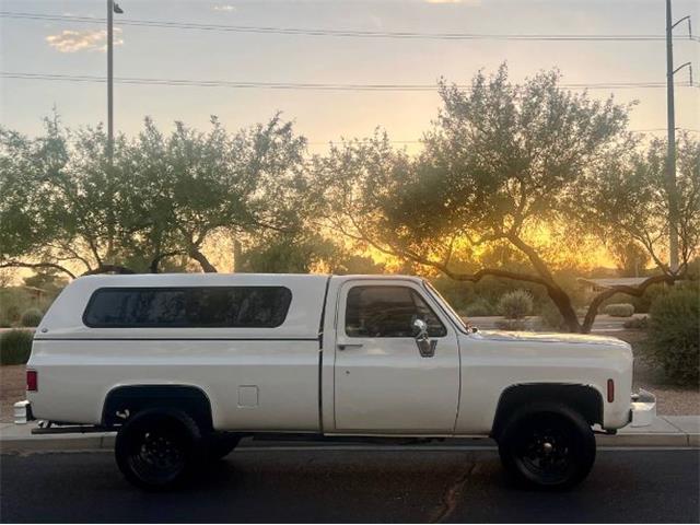 1977 Chevrolet Silverado (CC-1977277) for sale in Cadillac, Michigan