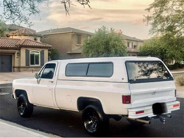 1977 Chevrolet Silverado (CC-1977277) for sale in Cadillac, Michigan