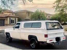 1977 Chevrolet Silverado (CC-1977277) for sale in Cadillac, Michigan