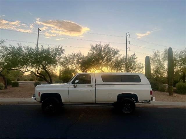 1977 Chevrolet Silverado (CC-1977277) for sale in Cadillac, Michigan