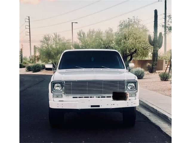 1977 Chevrolet Silverado (CC-1977277) for sale in Cadillac, Michigan