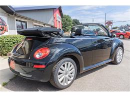 2008 Volkswagen Beetle (CC-1977706) for sale in Spirit Lake, Iowa