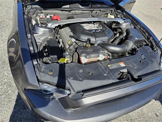 2014 Ford Mustang (CC-1978211) for sale in Punta Gorda, Florida