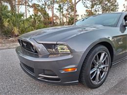 2014 Ford Mustang (CC-1978211) for sale in Punta Gorda, Florida