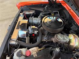 1966 Chevrolet Nova (CC-1978690) for sale in Bradenton, Florida