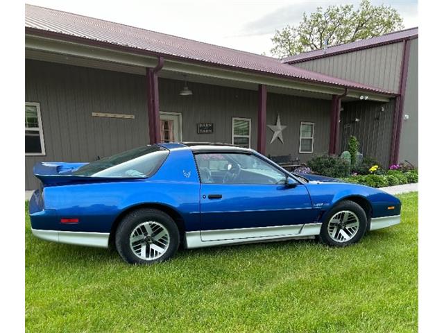 1987 Pontiac Firebird (CC-1979066) for sale in Mundelein, Illinois
