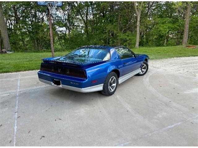 1987 Pontiac Firebird (CC-1979066) for sale in Mundelein, Illinois