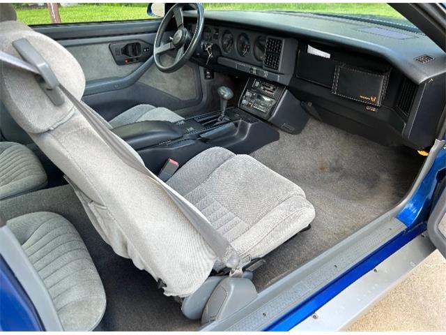 1987 Pontiac Firebird (CC-1979066) for sale in Mundelein, Illinois