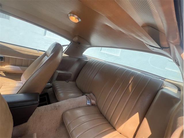 1981 Chevrolet Camaro Z28 (CC-1979162) for sale in Springfield, Massachusetts