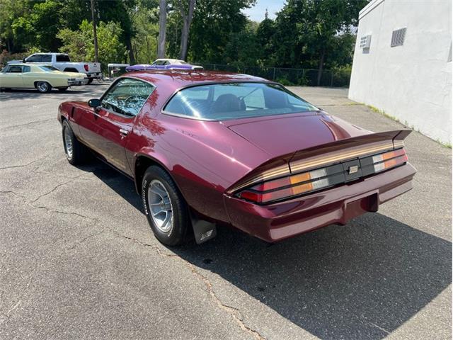 1981 Chevrolet Camaro Z28 (CC-1979162) for sale in Springfield, Massachusetts