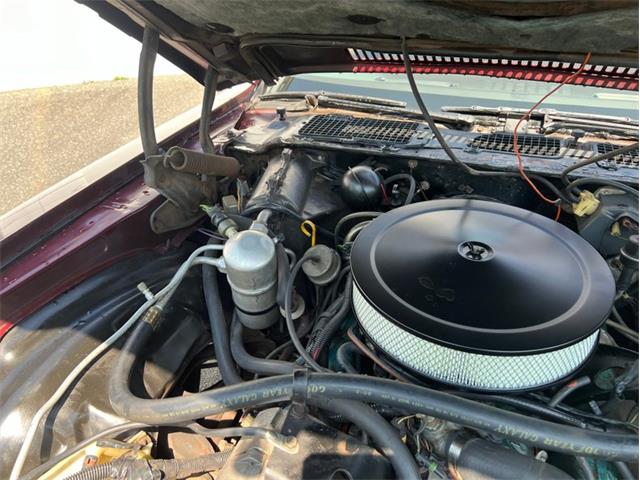 1981 Chevrolet Camaro Z28 (CC-1979162) for sale in Springfield, Massachusetts