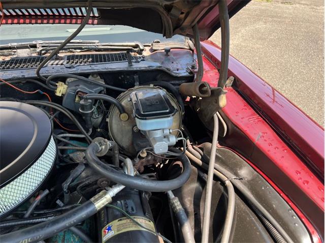 1981 Chevrolet Camaro Z28 (CC-1979162) for sale in Springfield, Massachusetts