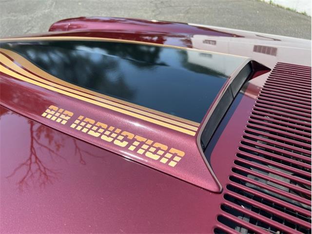 1981 Chevrolet Camaro Z28 (CC-1979162) for sale in Springfield, Massachusetts
