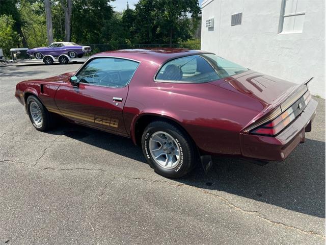1981 Chevrolet Camaro Z28 (CC-1979162) for sale in Springfield, Massachusetts