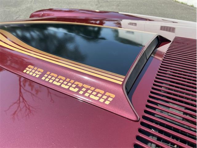 1981 Chevrolet Camaro Z28 (CC-1979162) for sale in Springfield, Massachusetts