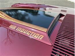1981 Chevrolet Camaro Z28 (CC-1979162) for sale in Springfield, Massachusetts