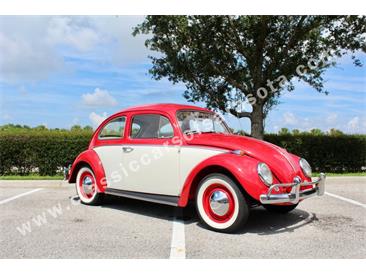 1964 Volkswagen Beetle (CC-1979379) for sale in Sarasota, Florida