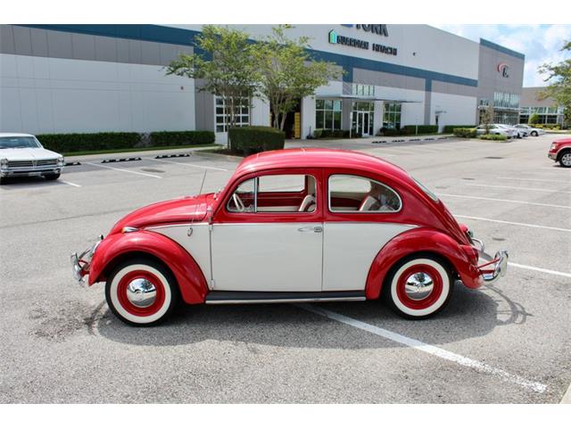 1964 Volkswagen Beetle (CC-1979379) for sale in Sarasota, Florida