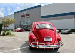 1964 Volkswagen Beetle (CC-1979379) for sale in Sarasota, Florida
