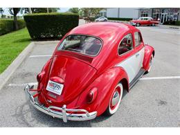 1964 Volkswagen Beetle (CC-1979379) for sale in Sarasota, Florida