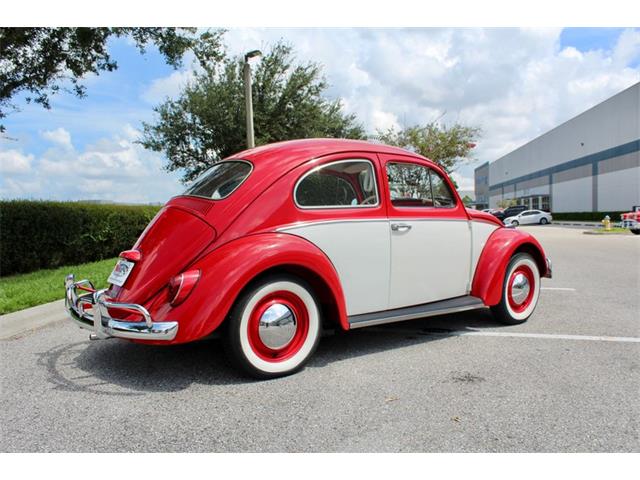 1964 Volkswagen Beetle (CC-1979379) for sale in Sarasota, Florida
