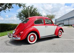 1964 Volkswagen Beetle (CC-1979379) for sale in Sarasota, Florida