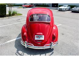1964 Volkswagen Beetle (CC-1979379) for sale in Sarasota, Florida