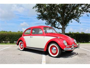 1964 Volkswagen Beetle (CC-1979379) for sale in Sarasota, Florida