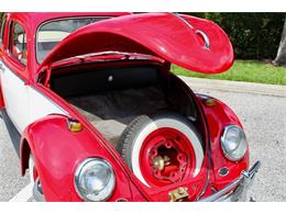 1964 Volkswagen Beetle (CC-1979379) for sale in Sarasota, Florida