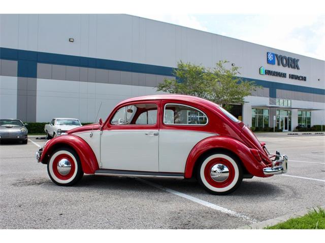 1964 Volkswagen Beetle (CC-1979379) for sale in Sarasota, Florida