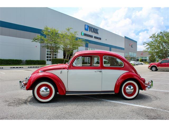 1964 Volkswagen Beetle (CC-1979379) for sale in Sarasota, Florida
