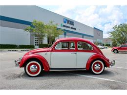 1964 Volkswagen Beetle (CC-1979379) for sale in Sarasota, Florida