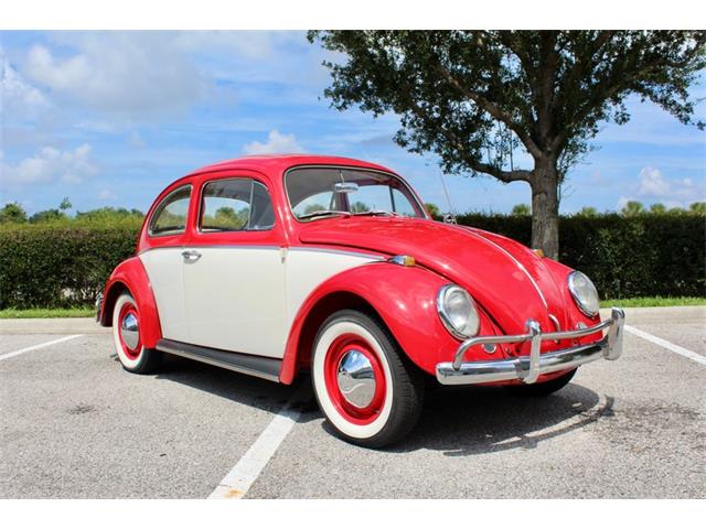 1964 Volkswagen Beetle (CC-1979379) for sale in Sarasota, Florida