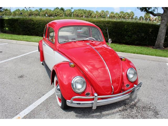1964 Volkswagen Beetle (CC-1979379) for sale in Sarasota, Florida