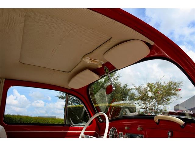 1964 Volkswagen Beetle (CC-1979379) for sale in Sarasota, Florida