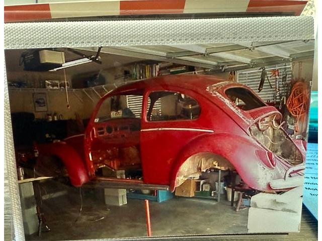 1964 Volkswagen Beetle (CC-1979379) for sale in Sarasota, Florida