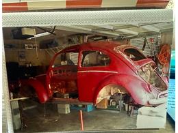 1964 Volkswagen Beetle (CC-1979379) for sale in Sarasota, Florida