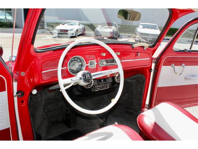 1964 Volkswagen Beetle (CC-1979379) for sale in Sarasota, Florida