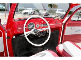 1964 Volkswagen Beetle (CC-1979379) for sale in Sarasota, Florida