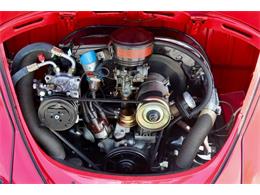 1964 Volkswagen Beetle (CC-1979379) for sale in Sarasota, Florida