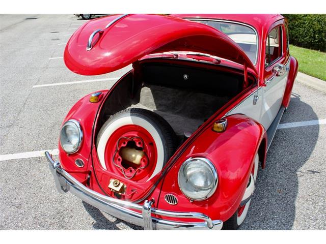 1964 Volkswagen Beetle (CC-1979379) for sale in Sarasota, Florida