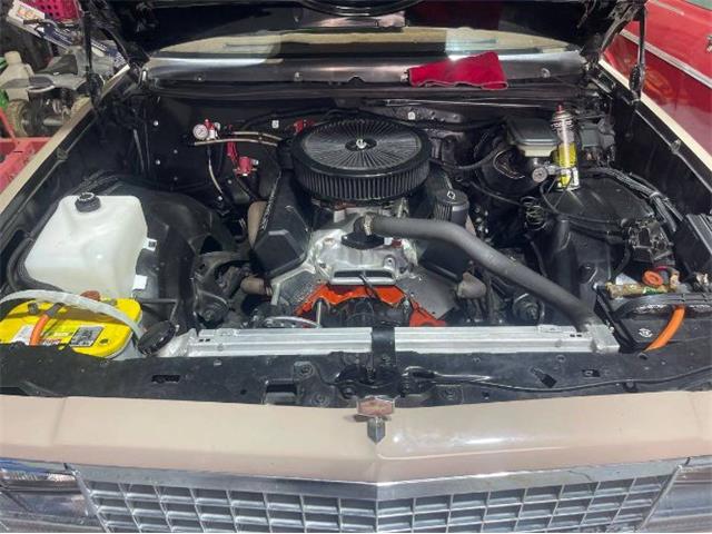 1983 Chevrolet Malibu (CC-1979685) for sale in Cadillac, Michigan