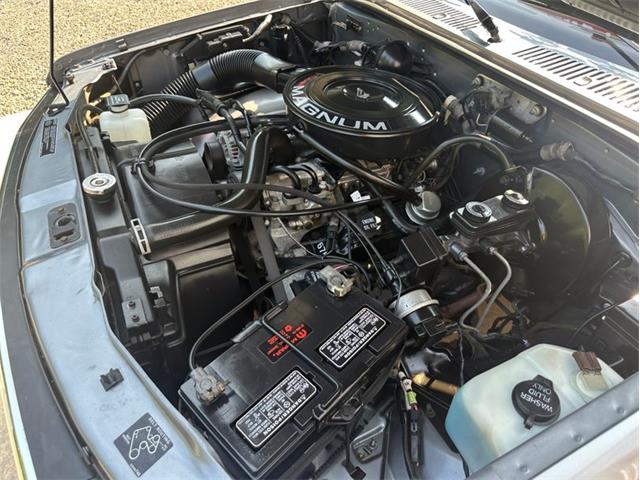 1992 Dodge Dakota (CC-1981177) for sale in Newfield, New Jersey