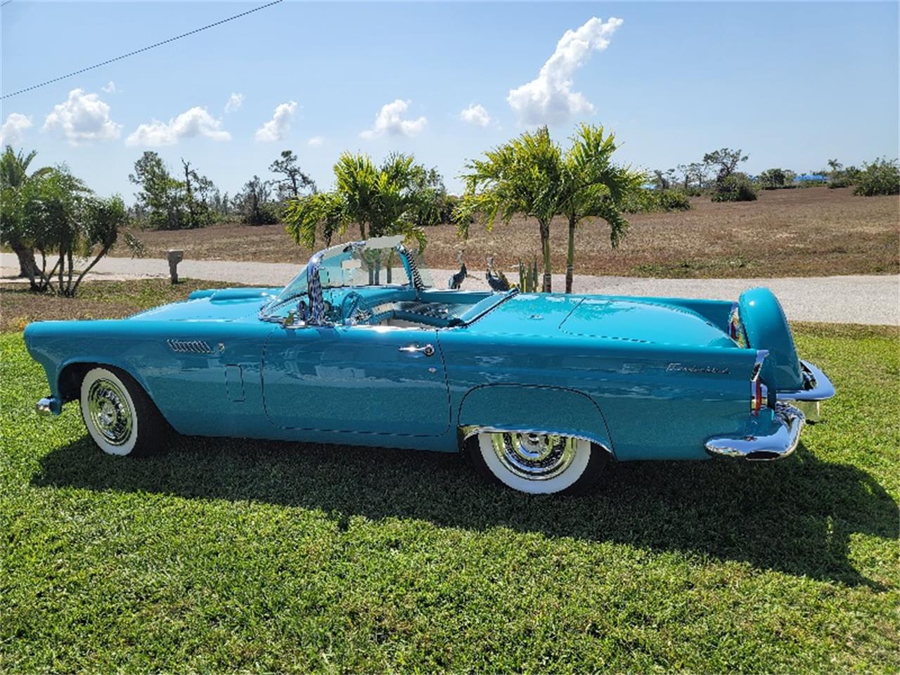 Zu verkaufen: Ford Thunderbird, Baujahr 1956, in Ellijay, Georgia