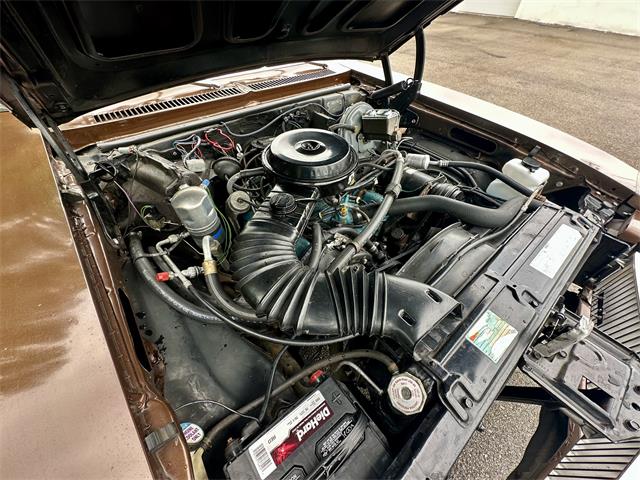 1979 Buick Skylark (CC-1981606) for sale in ABINGTON, Massachusetts