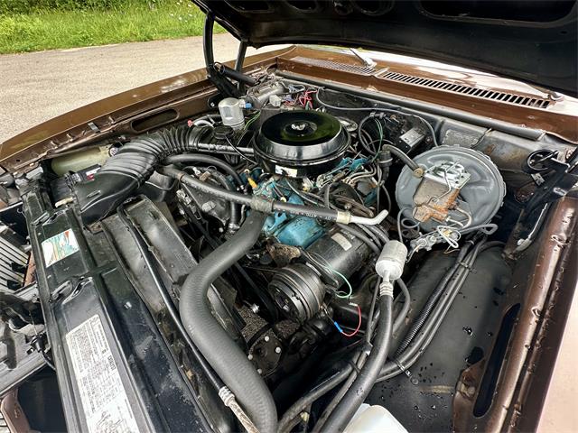 1979 Buick Skylark (CC-1981606) for sale in ABINGTON, Massachusetts