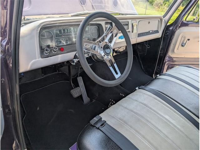 1965 Chevrolet C10 (CC-1981704) for sale in Palmetto, Florida