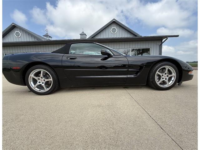1999 Chevrolet Corvette (CC-1982306) for sale in Sanborn, Iowa